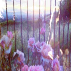 ROSESz ON MI GRAVE :(((((