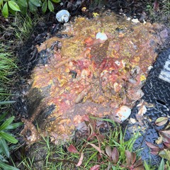 MILES WHY YOU 33 [p.albatross0]