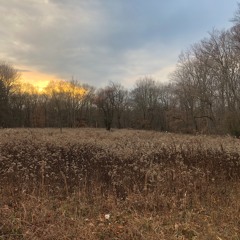 New Old Lands