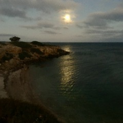 Moonlight over Magazine Bay