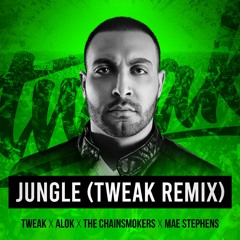 Jungle (Tweak Remix)