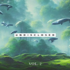 VANIC | UNDISCLOSED VOL. 2