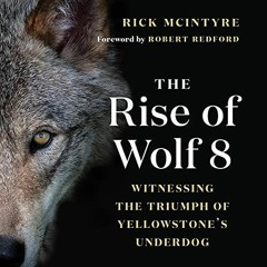 [Read] [EBOOK EPUB KINDLE PDF] The Rise of Wolf 8: Witnessing the Triumph of Yellowstone's Underdog