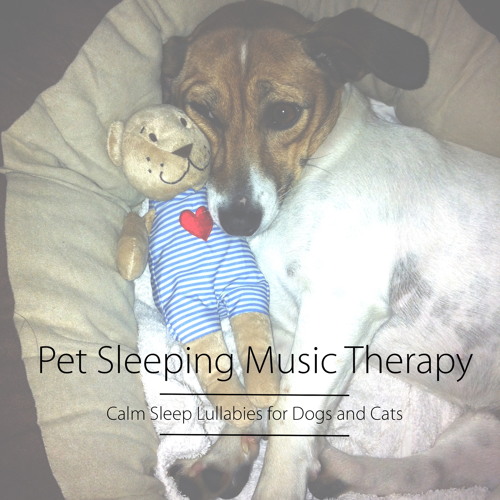 Calming Music for Animals