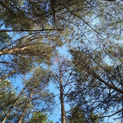 SlotArt t2022 Impro Choir Part1