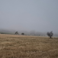 up on on a hill - Part I