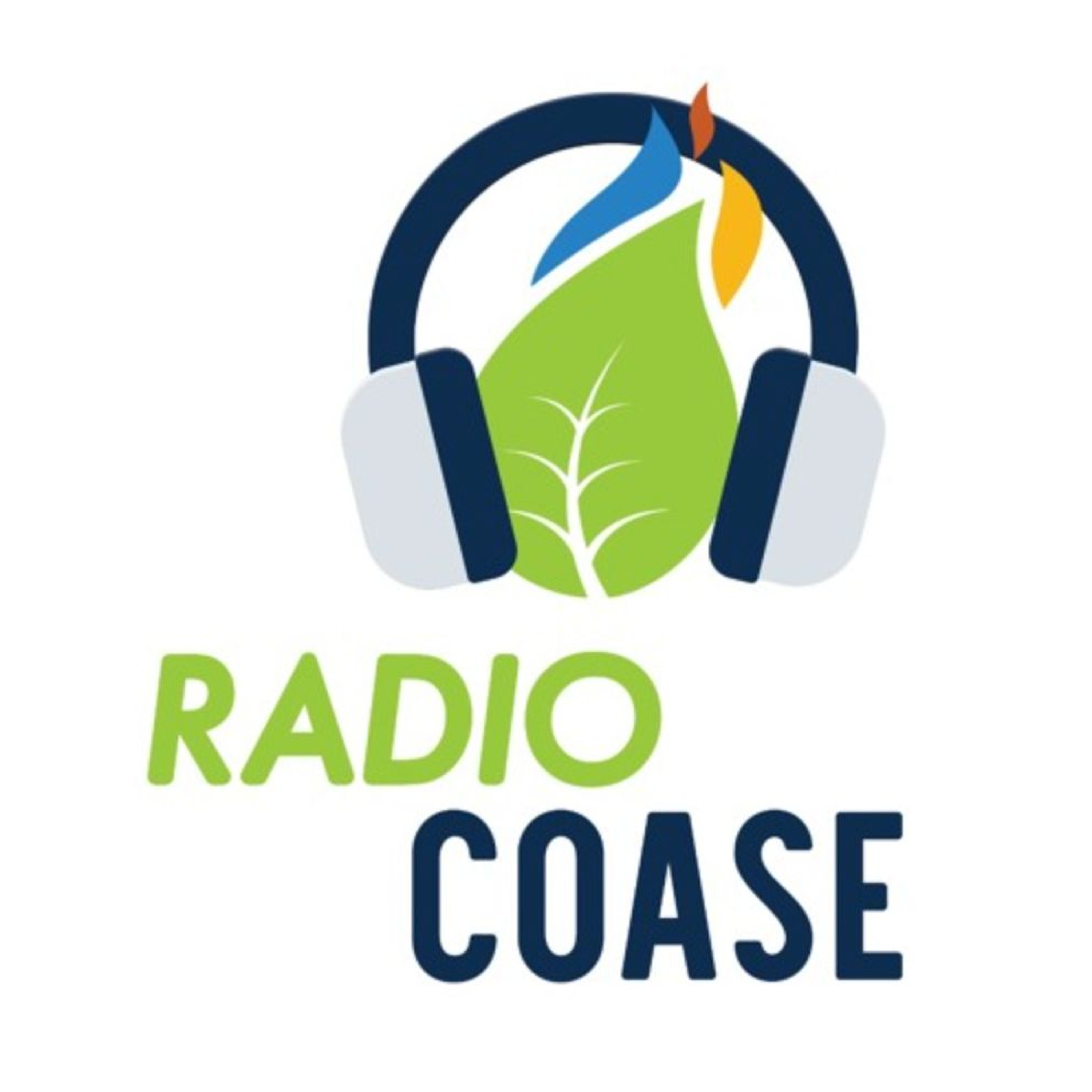 Ep 6 | Carbon pricing trends in the EU and China with Yan Qin