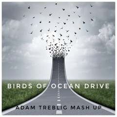 Birds Of Ocean Drive