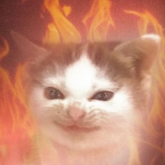 PhonkycatLuna