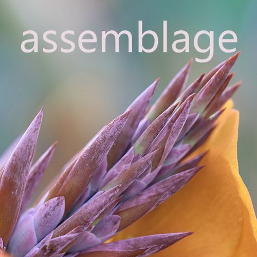 Assemblage