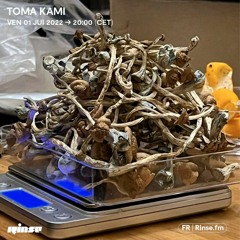 Toma Kami - 1er Juillet 2022