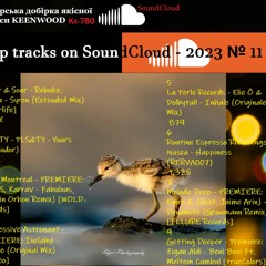Top tracks on SoundCloud - 2023 № 11