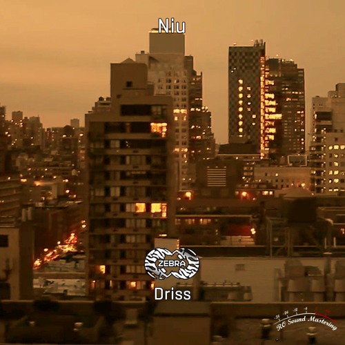 Niu - Driss EP • Zebra Rec. [ZBREP028] • 2021