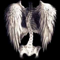 SPEAKER KNOCKIN @fodor