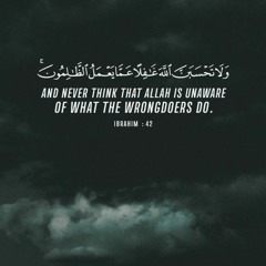 ءَامَنَ ٱلرَّسُولُ بِمَاۤ أُنزِلَ إِلَیۡهِ مِن رَّبِّه | تلاوة هادئة 💚💚🥀 | القارئ سالم الرويلي ✨