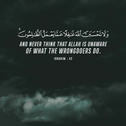ءَامَنَ ٱلرَّسُولُ بِمَاۤ أُنزِلَ إِلَیۡهِ مِن رَّبِّه | تلاوة هادئة 💚💚🥀 | القارئ سالم الرويلي ✨
