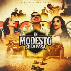 musicvip