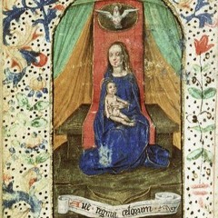 Es flog ein Täublein weiße