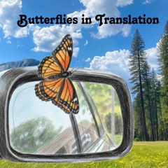 Butterflies in Translation (Mariposas en Traducción)