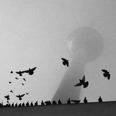 Tauben in der Großstadt (feat. Factoree Collective)