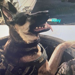 canine w/ dezonglo (codeveronica)