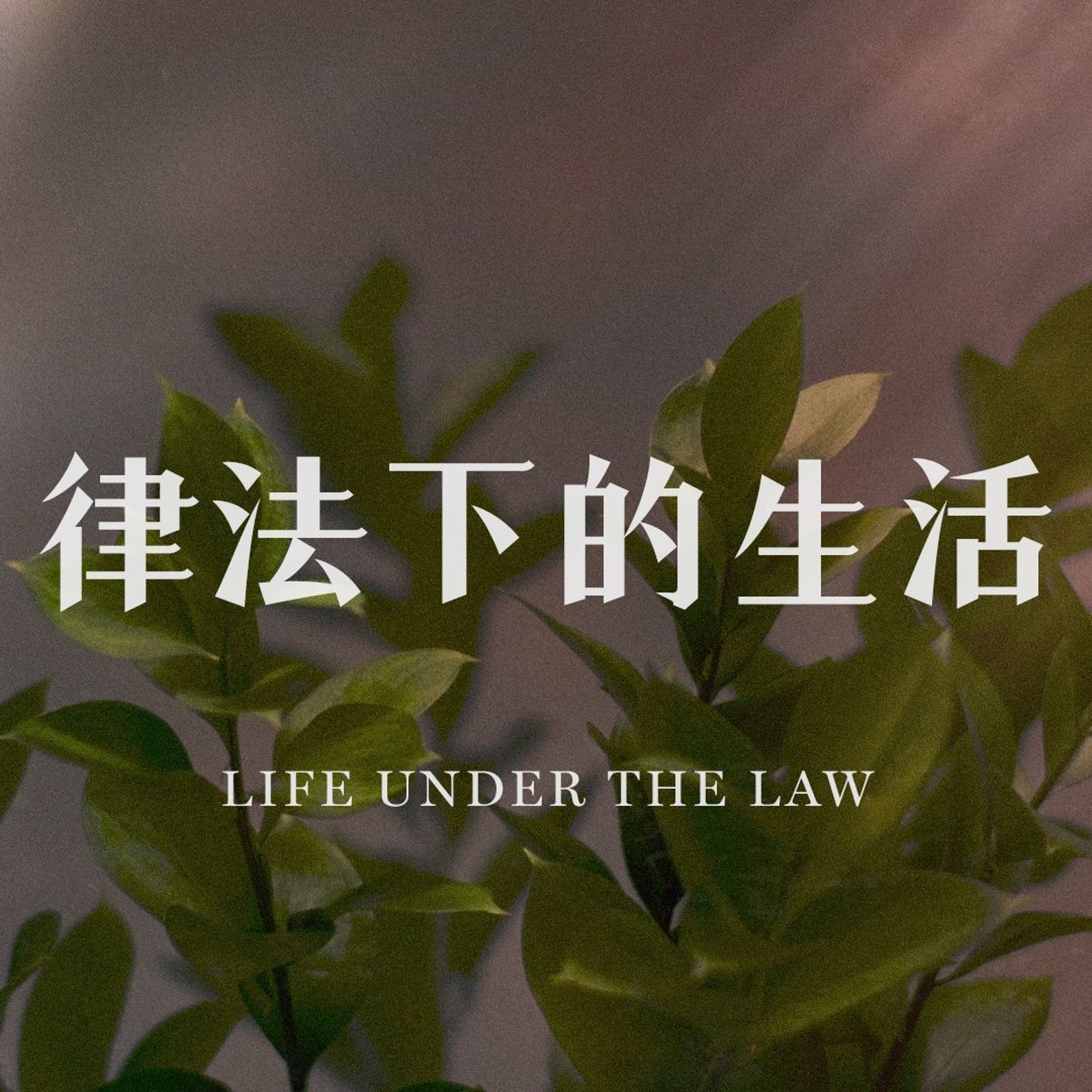 05/26/2024 【罗马书】律法下的生活（罗 7:13-25）——王唯权 牧师 episode artwork