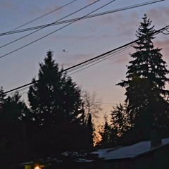 Alone prod. Ally Gold