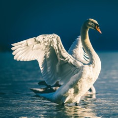 Sunrise Dance Mix (Wilswanya)(2024-07-22)