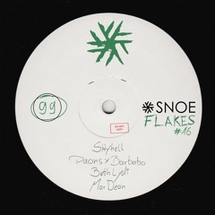 Premiere: Skyhell - When I See You (Extended Mix) [SNOE]