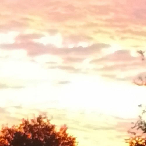 Pharenhyt_-_Log-In_Return_Key