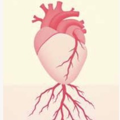 H7 hazaszeretet (Rhythm)