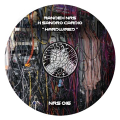 [FREE DL] Sandro Cardio X RandeX - HARDWIRED