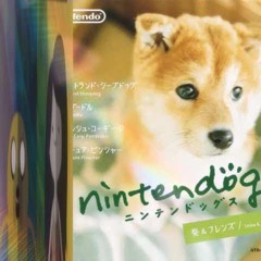 nintendogs ft blingblingboi prod blingblingboi