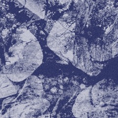 Ebende B2B Vilhelm Hasselgren 05/12/2025