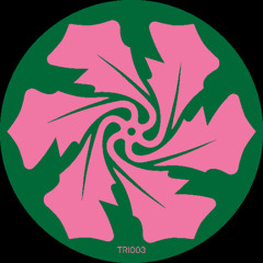 Verlake - The Future (Ben Kaczor Remix)