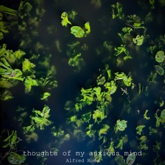 Thoughts Of My Anxious Mind
