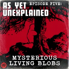 Episode 5 – Mysterious Living Blobs
