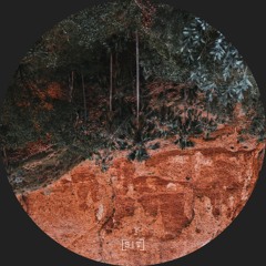 Tadhe - Pre/absence (Incl Citizen Maze, Formant Value & Absis Interpretations)(ST078)