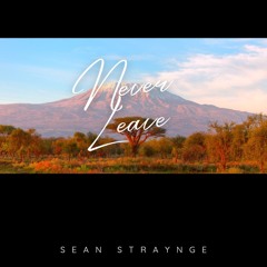 Never Leave