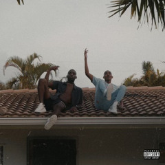 ALL SHE WANTS - the333tribe (Prod. Prodbybabz)