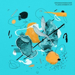PREMIERE: Birdsmakingmachine - Paxaresku (Alci Remix) [Melodeum]