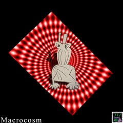 Macrocosm