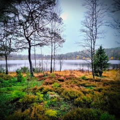 Everything We Were Is Lost to Time