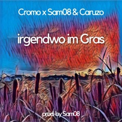 irgendwo im Gras (feat. Caruzo)