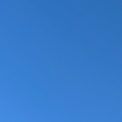 250201_2024