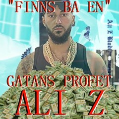 ALI Z, zorro - Genomgång REMIX (Gatans Profet)