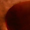 Walrus at Le Soleil Rouge DJ mix artwork - Electronic music tracklist cover image