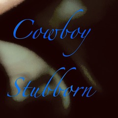 Cowboy stubborn