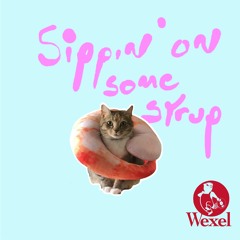 Sippin On Some Syrup - Three 6 Mafia Wexel Remix DJ Intro