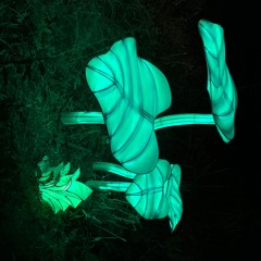 365 (party girl minus the party and minus the girl)